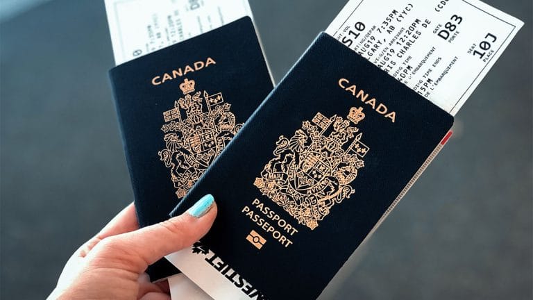Immigration Lawyers vs Immigration Consultants